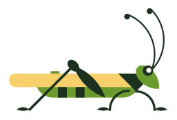 illustration of a cricket