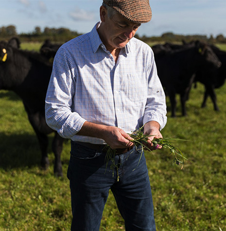 The Good Herdsmen Farmer