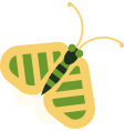 Illustration of a butterfly