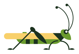 illustration of a cricket