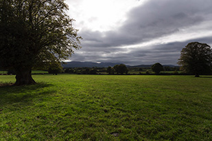 Farmland